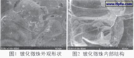 ?；⒅橥庥^形狀及內部結構